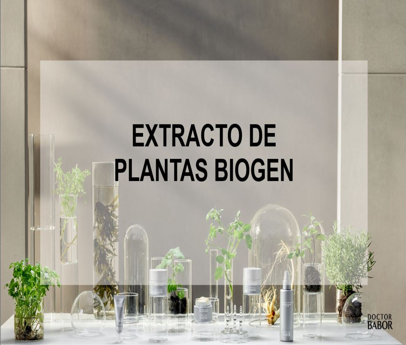 5. Biogen Plant Extract