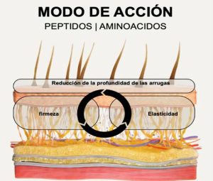 2. Modos de Acción